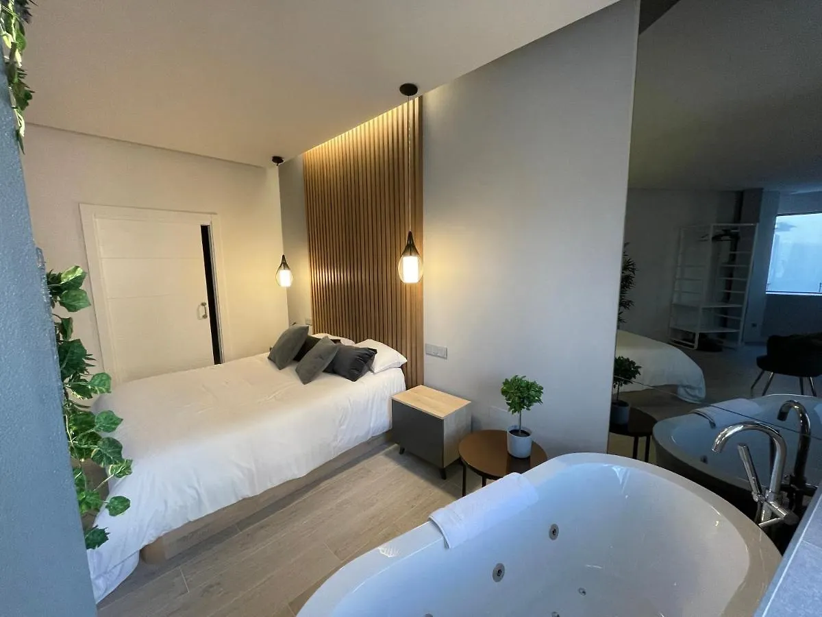 Miluisuites Loft And Spa Catedral. Santander