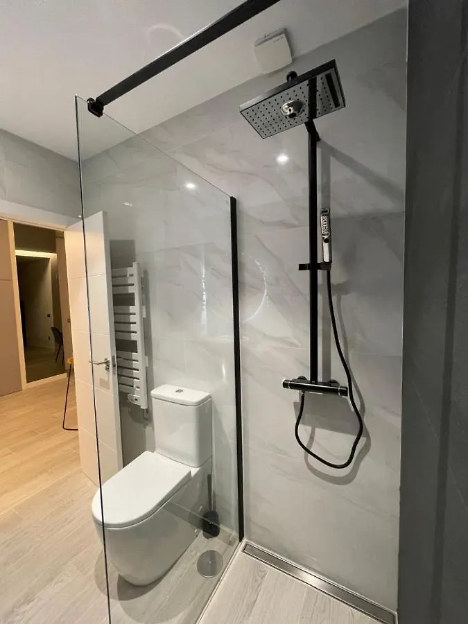 Miluisuites Loft And Spa Catedral. Santander Appartement